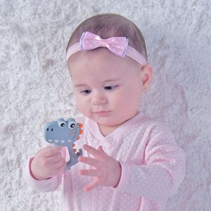 Mordedor Dinossauro Bichinhos Pimpolho 8227