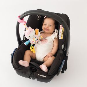 Móbile para Carrinho e Bebê Conforto Pimpolho 300437