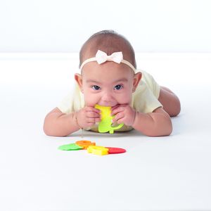 Kit Mordedor Formas Unissex Pimpolho 30019702